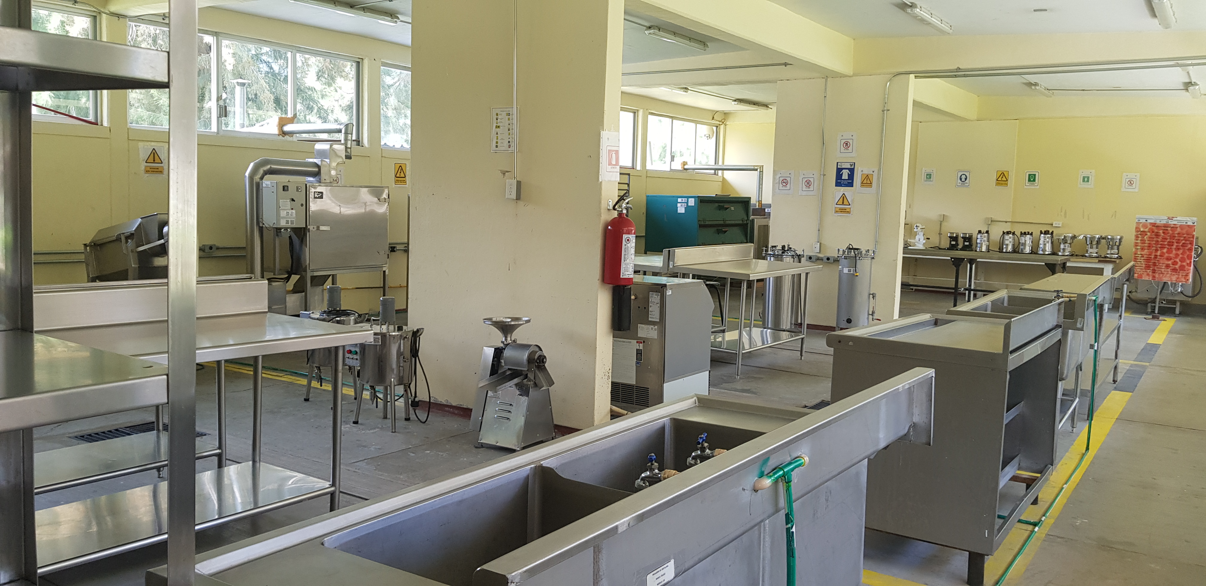 Taller de Granos y Hortalizas